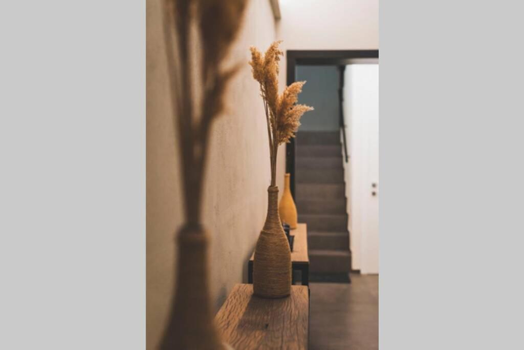 Torre 13 Daire Modena Dış mekan fotoğraf